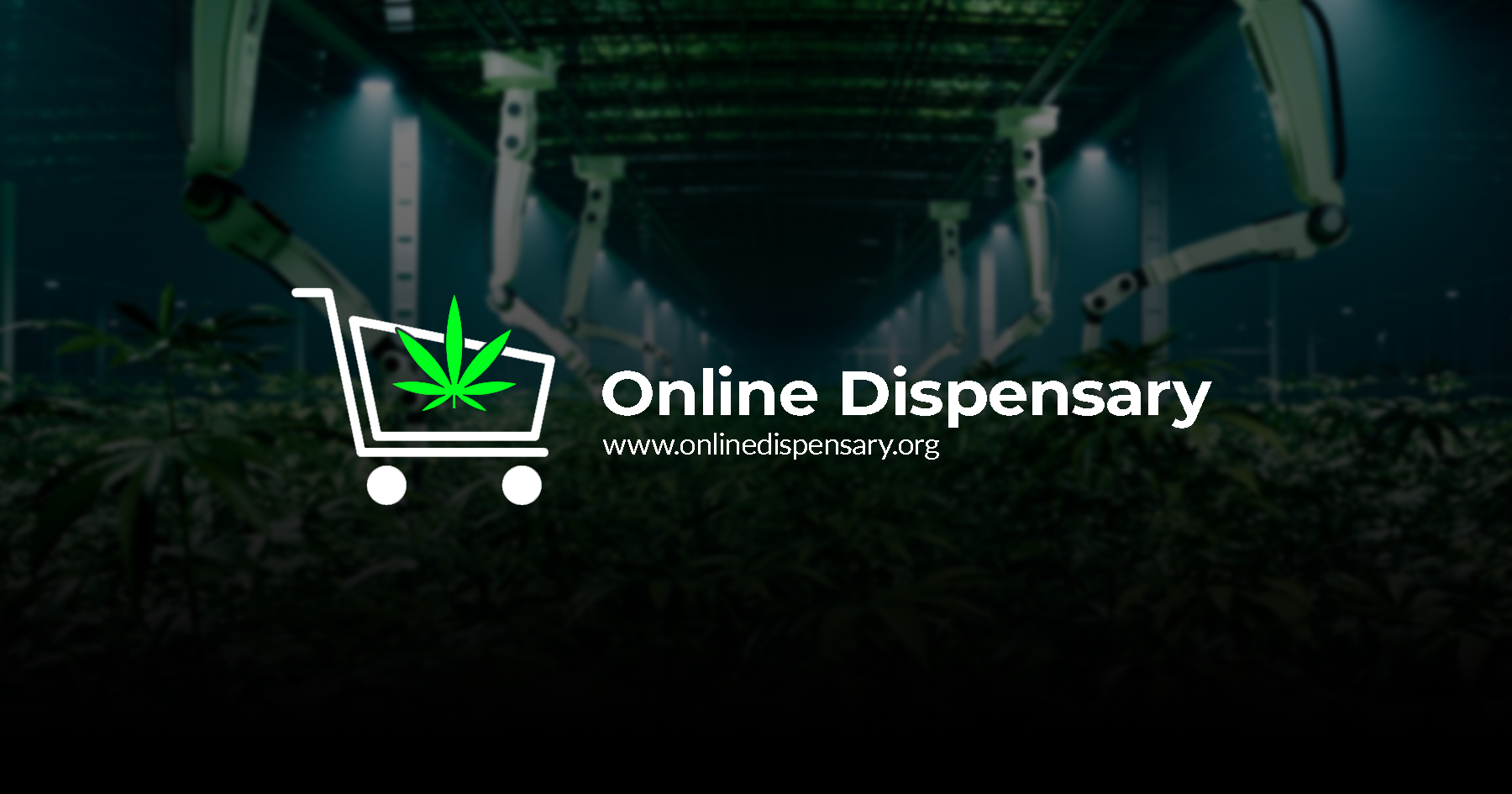 Flowers Online Dispensary