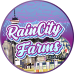 Hash Rosin (Rain City Farms)