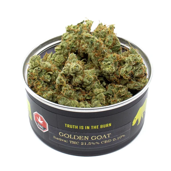 Golden Goat (Skookum Canned Cannabis)
