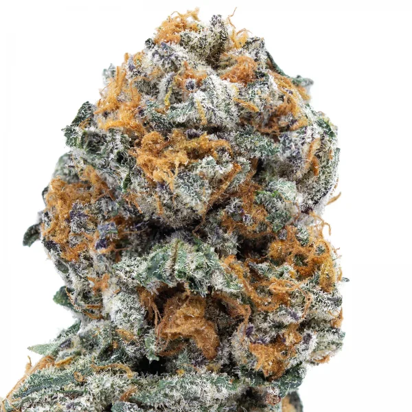 Kush Cruiser (Skookum Canned Cannabis)