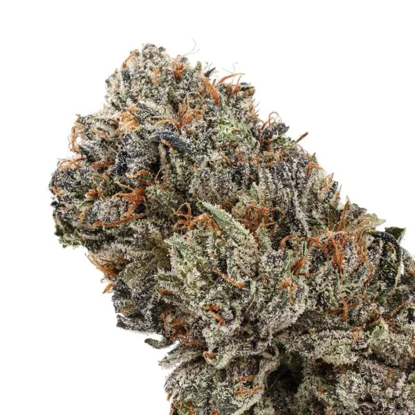 Purple Candy (Cream of the Crop)