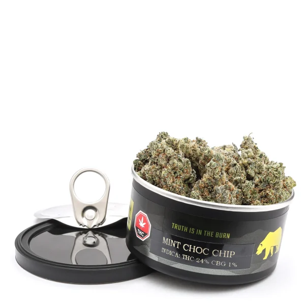 Mint Chocolate Chip (Skookum Canned Cannabis)