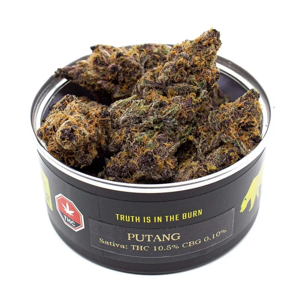 Putang (Skookum Canned Cannabis)