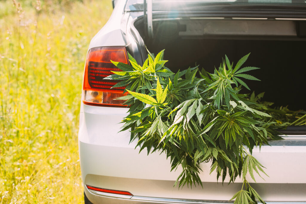 illicit mail order cannabis delivery services